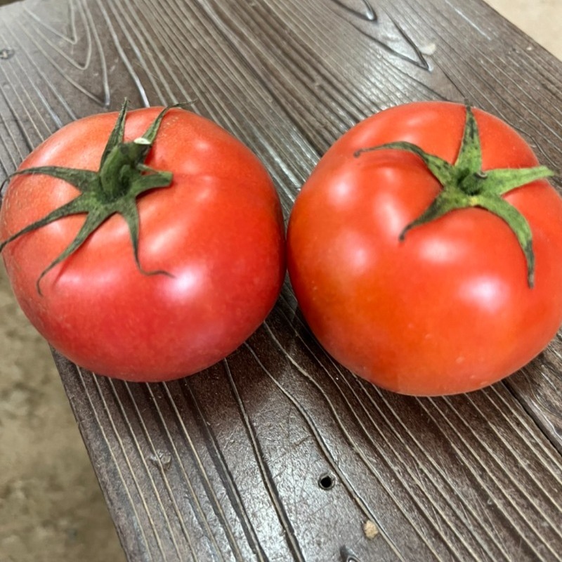 牛番茄1斤(秤重)團購推薦